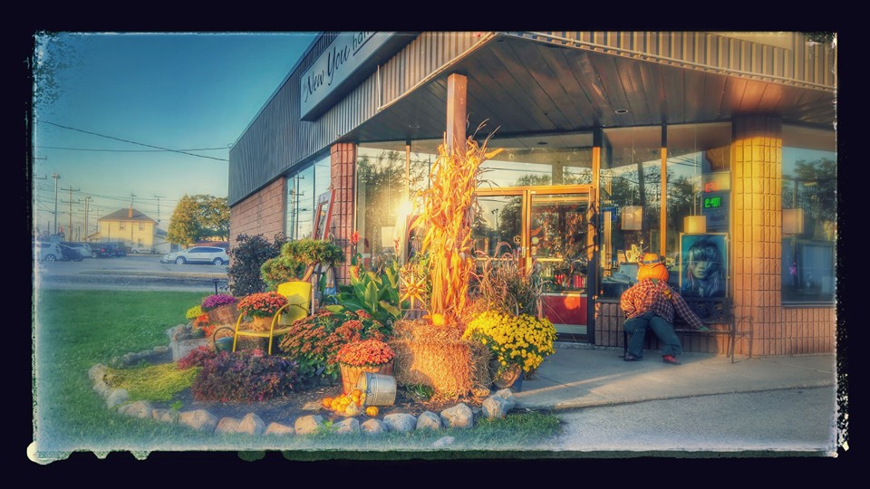 The New You Salon | 127 Argyle St S, Caledonia, ON N3W 1J1, Canada | Phone: (905) 765-4247