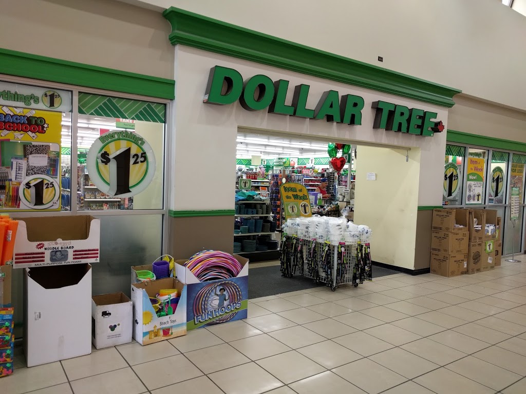 Dollar Tree | 200 Broadway, Tillsonburg, ON N4G 5A7, Canada | Phone: (519) 688-1250