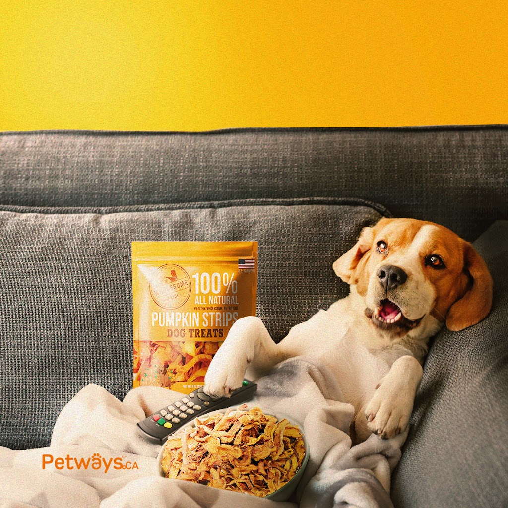 Petways.ca | 2433 Dollarton Hwy #110, North Vancouver, BC V7H 0A1, Canada | Phone: (604) 901-4604