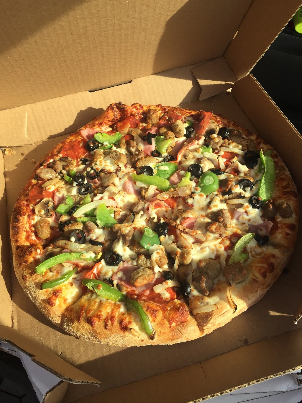 Dominos | 1215 Fanshawe Park Rd W #1, London, ON N6G 0R9, Canada | Phone: (519) 657-1999