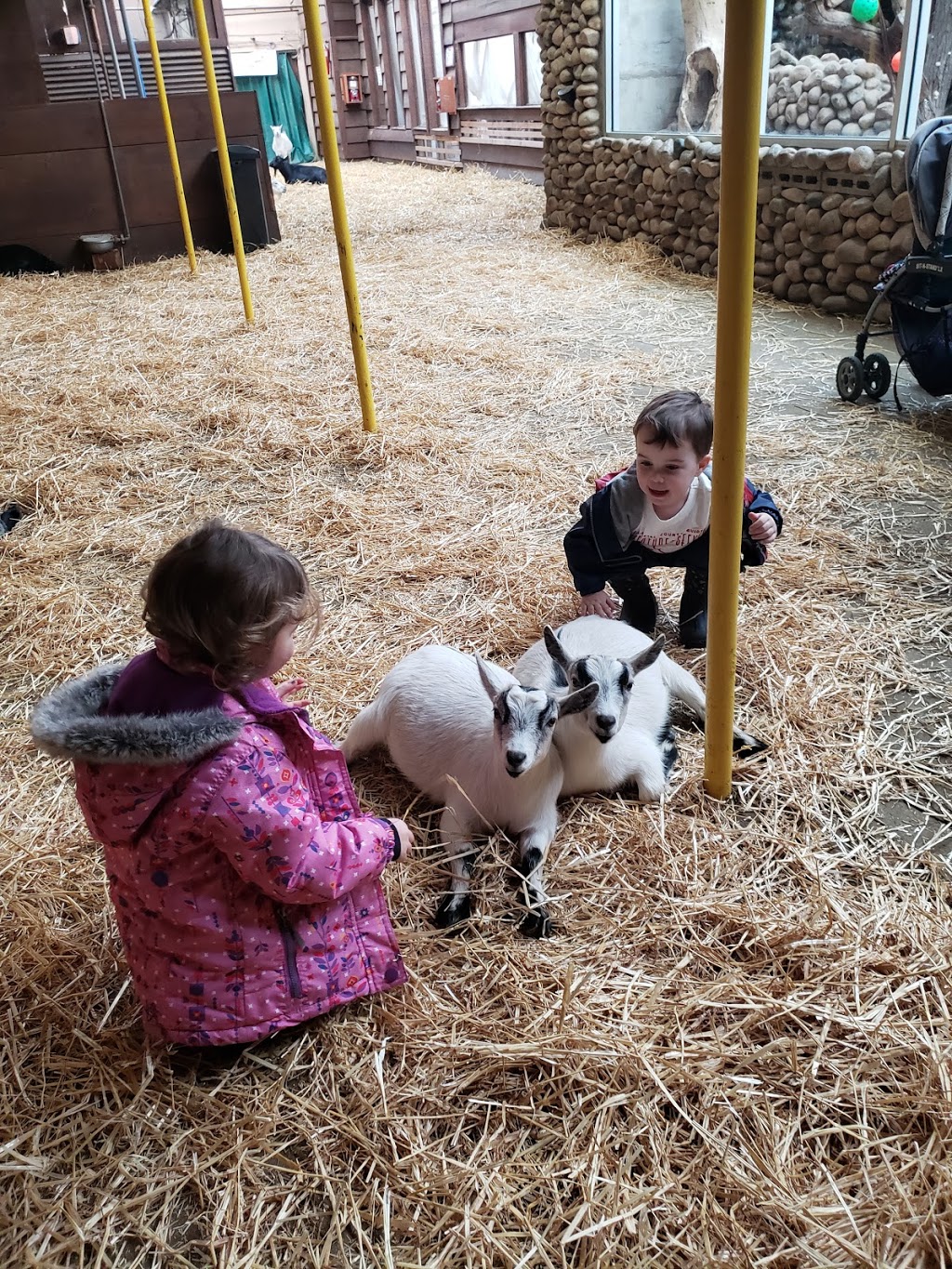 fallans friends home daycare | 84 Norway Maple Dr, Chatham, ON N7L 5E1, Canada | Phone: (519) 350-7005