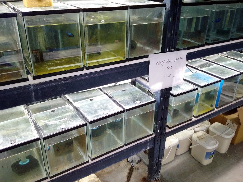 Aquapets | 680 Silver Star Blvd, Scarborough, ON M1V 5N1, Canada | Phone: (416) 292-1688