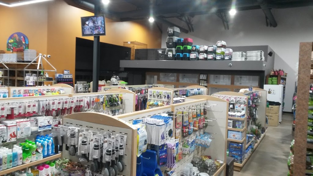 Animalerie Roufi | 855 Boulevard Ouellet, Thetford Mines, QC G6G 4X7, Canada | Phone: (418) 335-6147