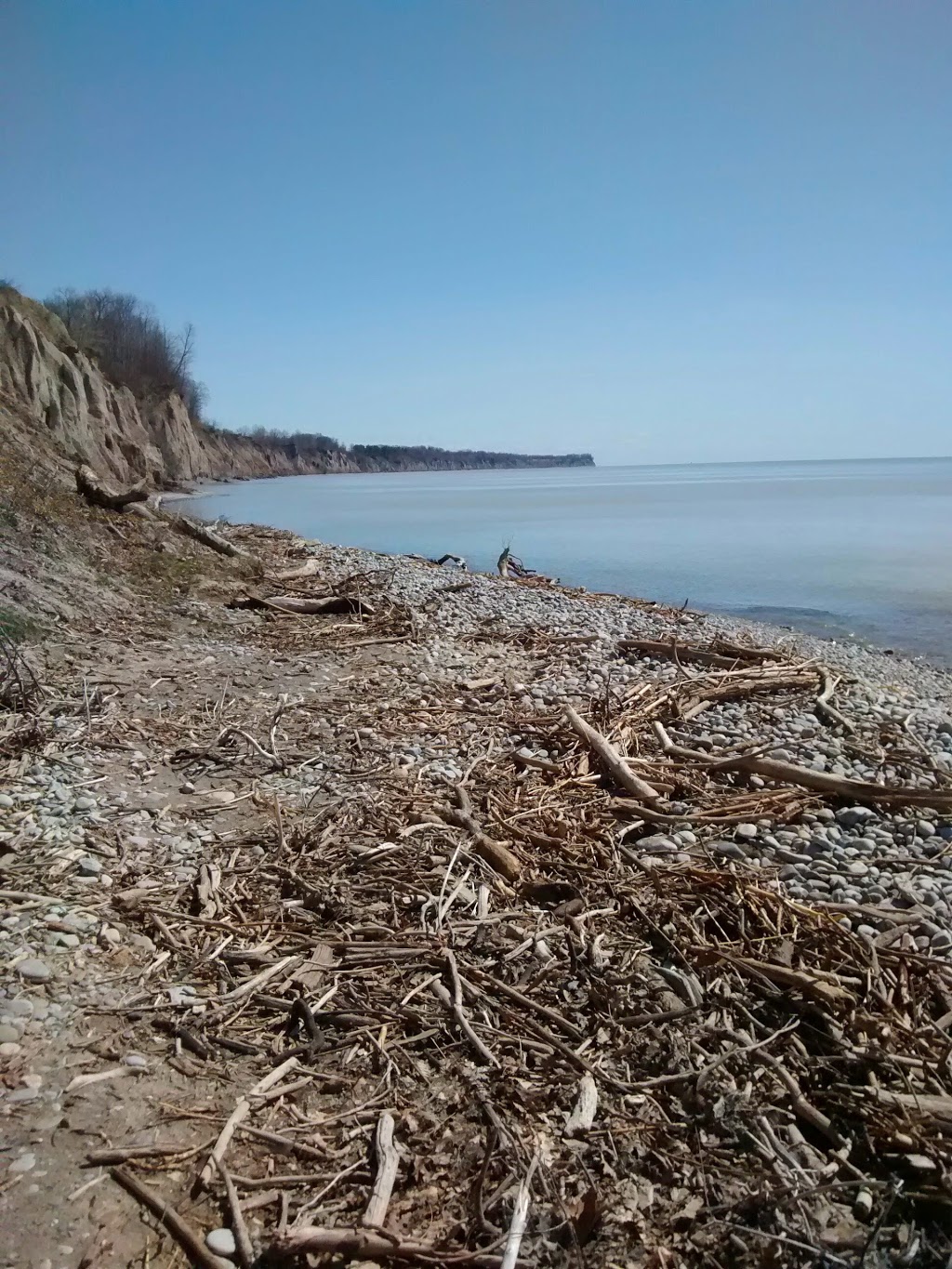 E.M. Warwick Conservation Area | 26135 Warwick Line, Wallacetown, ON N0L 2M0, Canada