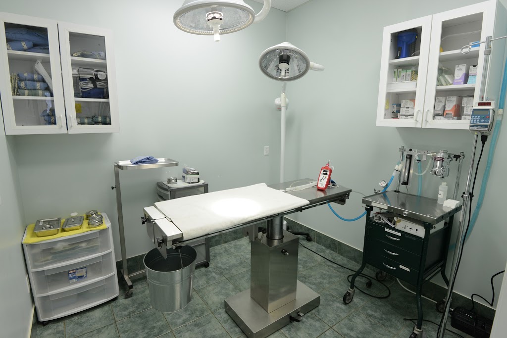 Simcoe Street North Veterinary Clinic | 1487 Simcoe St N, Oshawa, ON L1G 4X8, Canada | Phone: (905) 571-3009