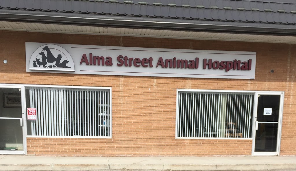 Alma Street Animal Hospital | 178 Alma St Unit 8, Rockwood, ON N0B 2K0, Canada | Phone: (519) 856-0444