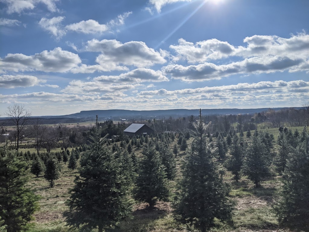 Clembrook Christmas Farm | 4231 Derry Rd W, Milton, ON L9T 2Y1, Canada | Phone: (905) 878-6576