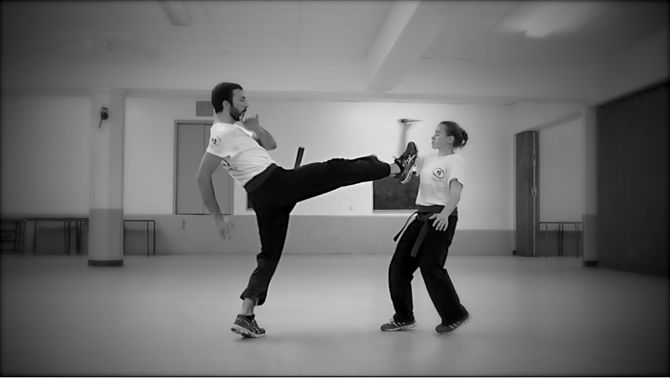 Krav Maga School Tray | 4265 Rue Papineau, Montréal, QC H2H 1T3, Canada
