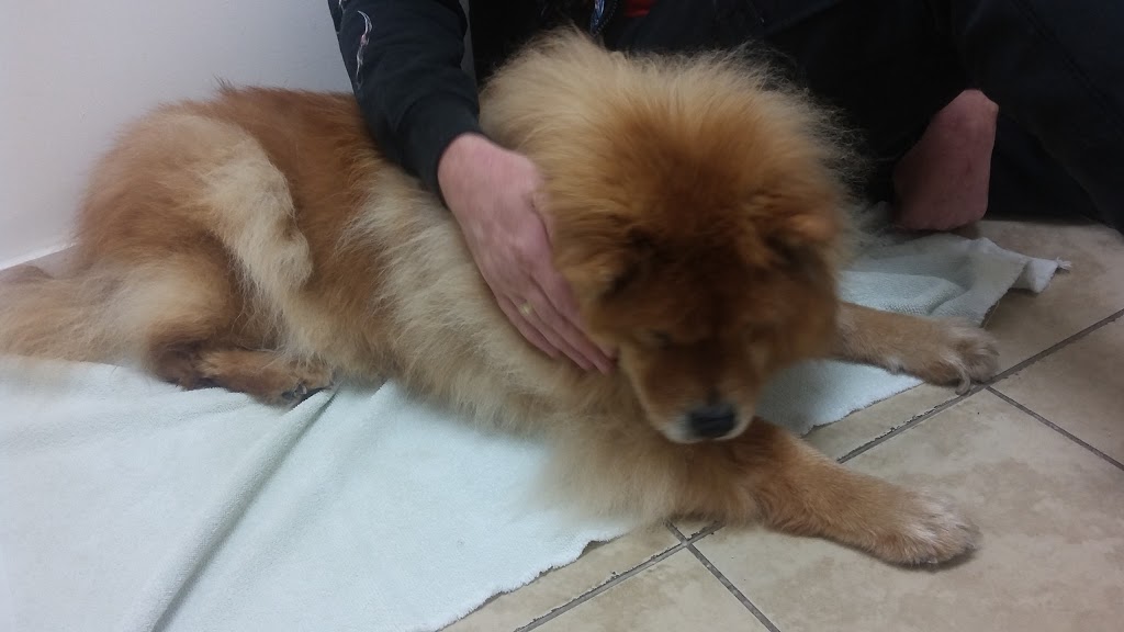 Prairie Winds Animal Clinic | 3690 Westwinds Dr NE # 319, Calgary, AB T3J 5H3, Canada | Phone: (403) 474-8436