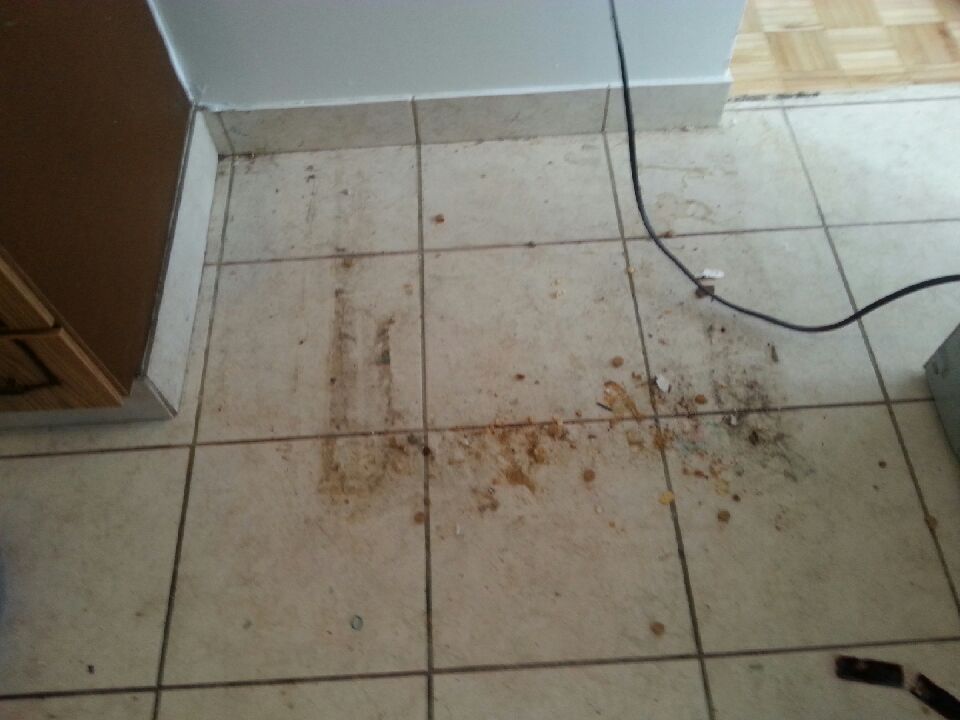 Mighty Maids Cleaning Service | 802 Middletown Rd, Waterdown, ON L0R 2H2, Canada | Phone: (647) 921-6243