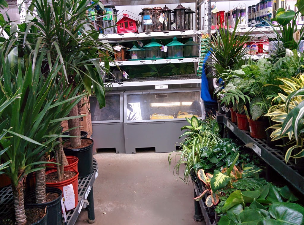 Westmount Centre | Groat Rd NW & 111 Ave NW, Edmonton, AB T5E 5E7, Canada | Phone: (780) 452-1234