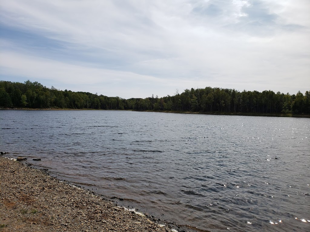 The Wolfville Watershed Nature Preserve | 1351 Forest Hill Rd, Wolfville, NS B4P 2R1, Canada | Phone: (902) 425-5263