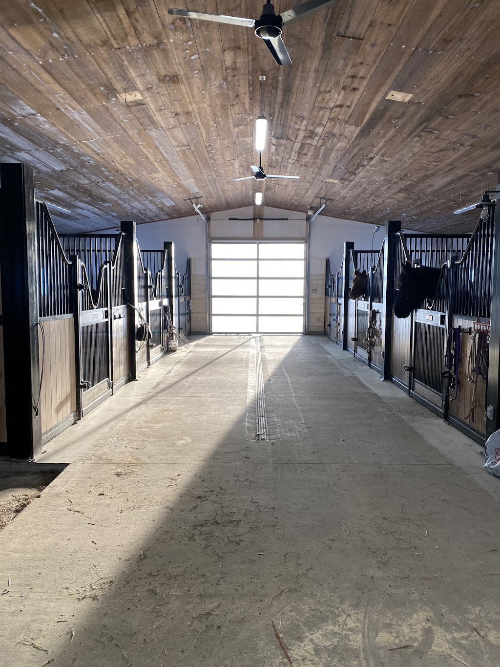 Talloway Farm | 7157 Road 129, Newton, ON N0K 1R0, Canada | Phone: (519) 820-6020