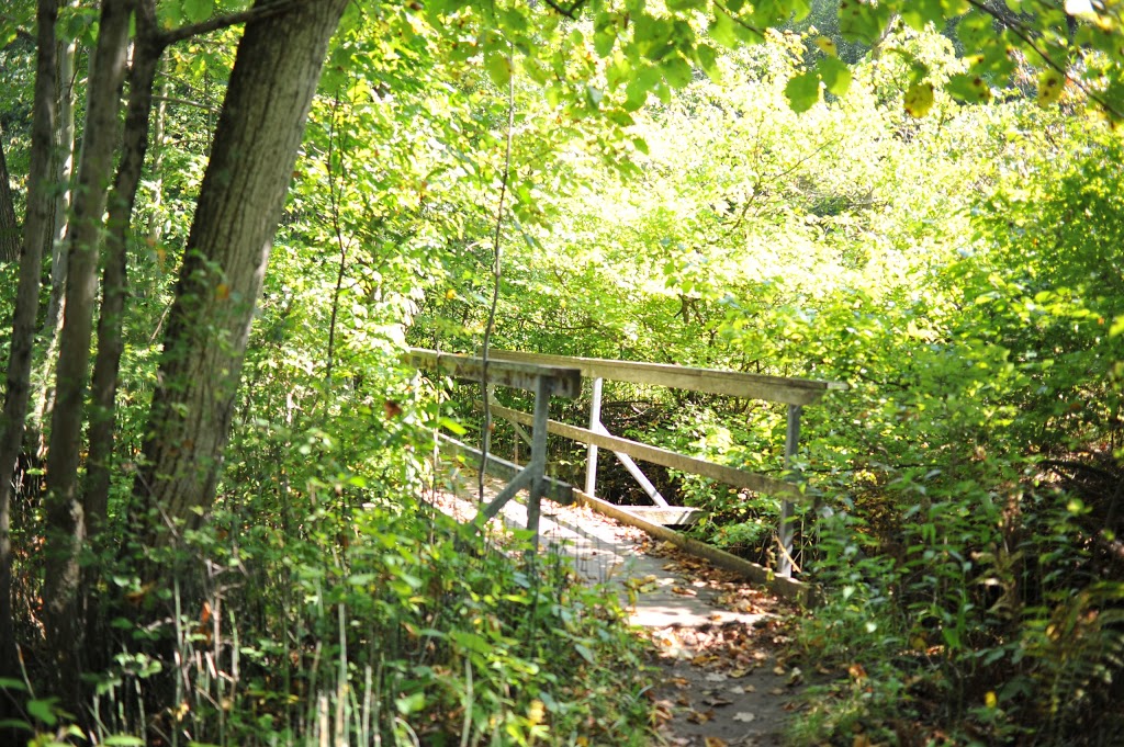 Kains Woods | River Bend, London, ON N6K 5R1, Canada