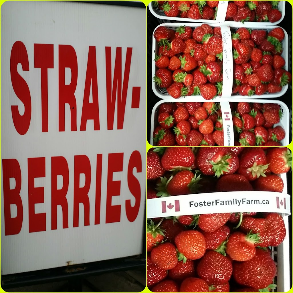 Foster Family Farm - Bank and Leitrim Farm Stand | 4540 Bank St, Gloucester, ON K1T 3W5, Canada | Phone: (613) 851-3903