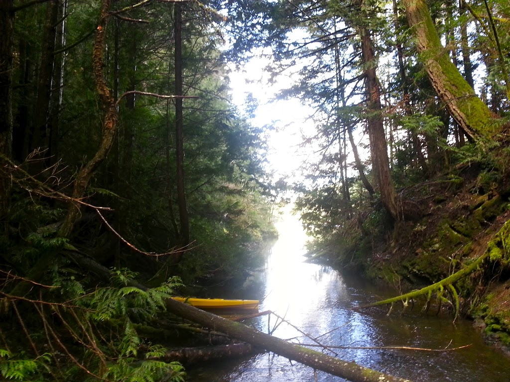 Roche Cove Regional Park - Parking Lot | Galloping Goose Trail, Sooke, BC V9Z 0Z3, Canada