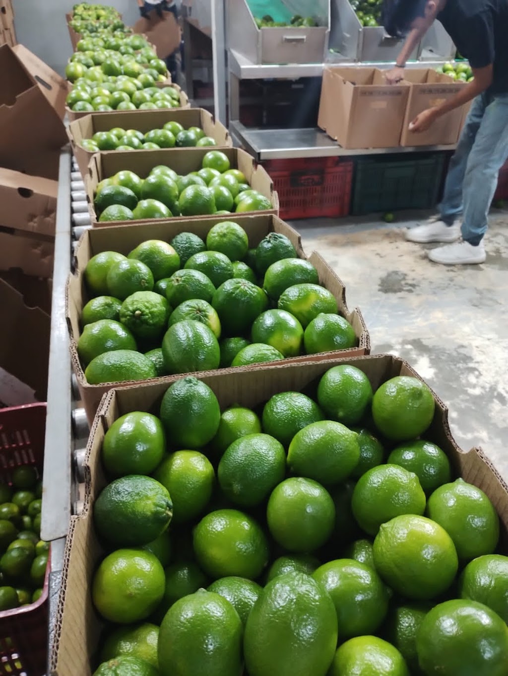 OHMEX PRODUCE | N/A, Vaughan, ON L4K 5H1, Canada | Phone: (647) 765-9477