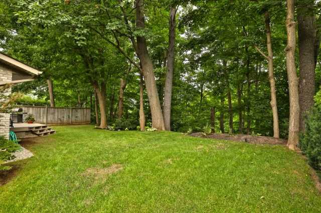 DealMax - Real Estate | 385 Renforth Dr, Etobicoke, ON M9C 4X1, Canada | Phone: (416) 471-0335