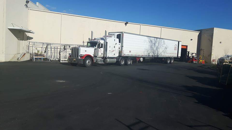 G K Morse Trucking Ltd | 226 Ira Bill Rd, Centreville, NS B0P 1J0, Canada | Phone: (902) 678-3902