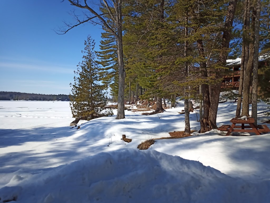 Westwind Inn | 37 Fire Rte 21 Rd, Buckhorn, ON K0L 1J0, Canada | Phone: (705) 657-8095