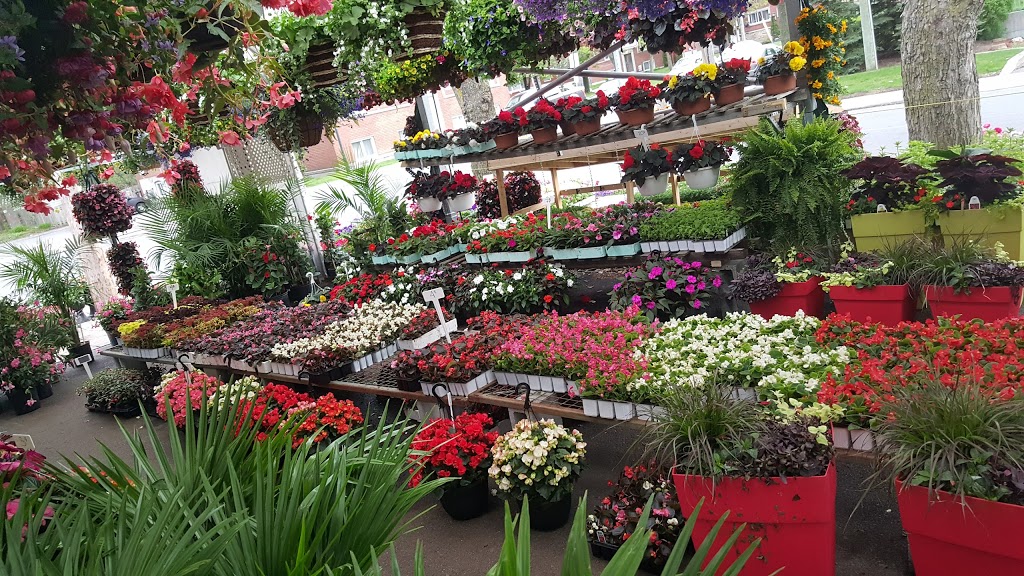 Lory Fleurs | 485 Chemin Bord-du-Lac, Dorval, QC H9S 2A9, Canada | Phone: (514) 804-8848