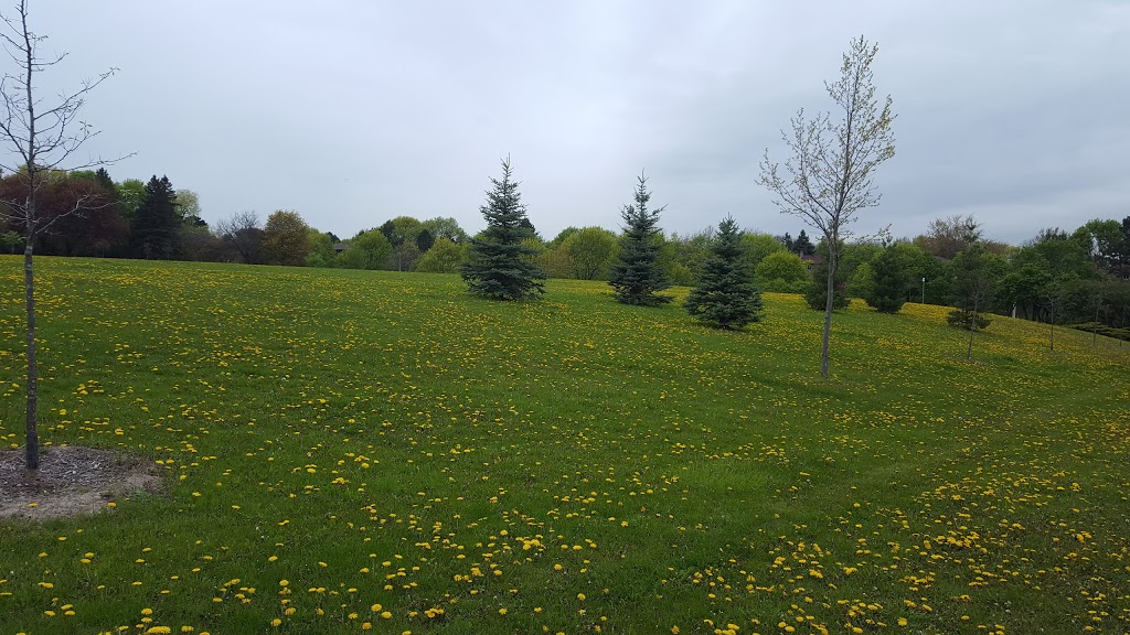 Ames Park | 272 Banbury Rd, North York, ON M3B 3C8, Canada