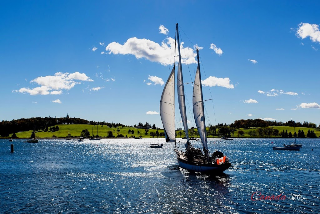 Star Charters | 124 Bluenose Dr, Lunenburg, NS B0J 2C0, Canada | Phone: (902) 634-3535