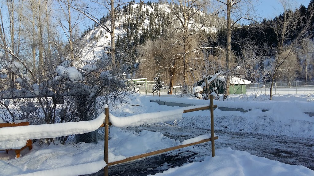 Lumby Lions Campsite | 2215 Shields Ave, Lumby, BC V0E 2G0, Canada | Phone: (250) 547-2005