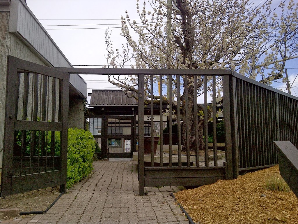 Westdale Chiropractic Clinic | 775 King St W, Hamilton, ON L8S 1K2, Canada | Phone: (905) 525-5052