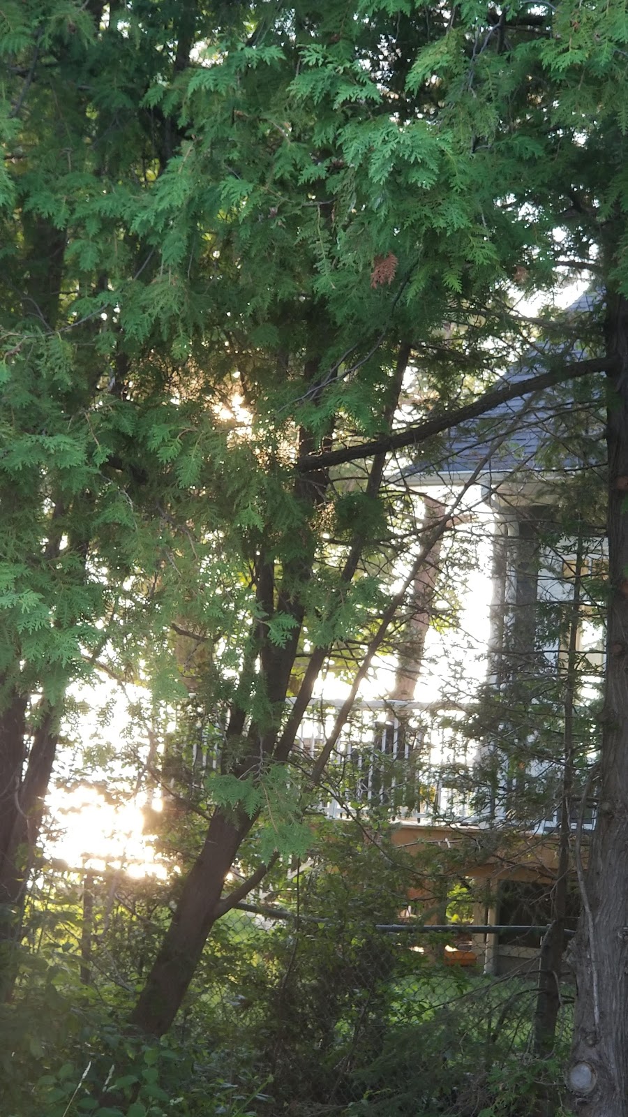 Bass Lake Provincial Park | 2540 Bass Lake Side Rd E, Orillia, ON L3V 6H2, Canada | Phone: (705) 326-7054