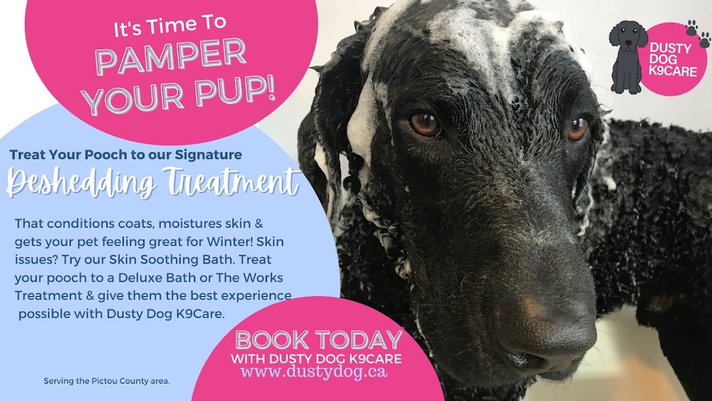 Dusty Dog K9Care | 170 Foxbrook Rd, Hopewell, NS B0K 1C0, Canada | Phone: (902) 921-3815