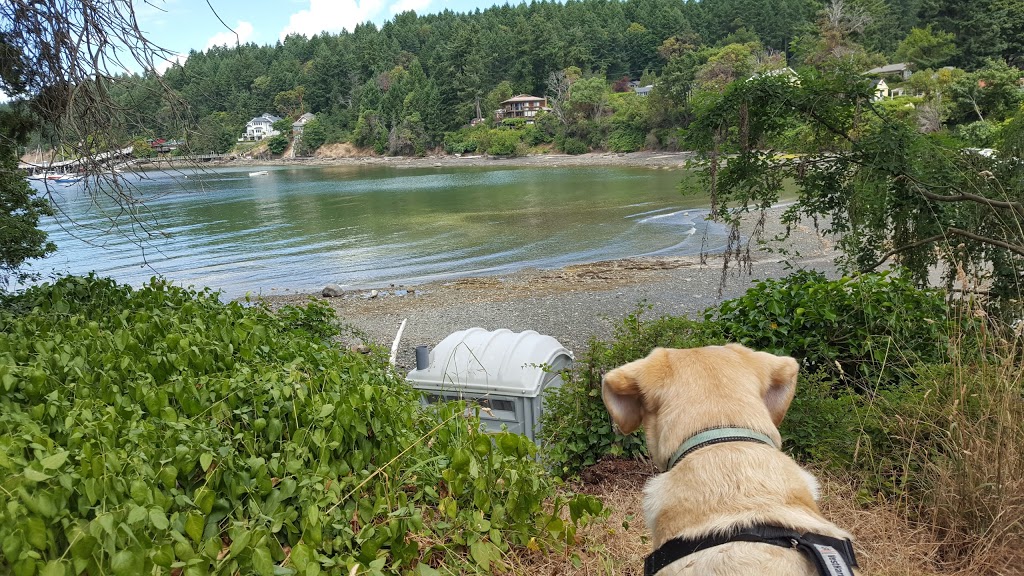 Beachfront at Vesuvius | 120 Langley Rd, Salt Spring Island, BC V8K 1K9, Canada | Phone: (250) 538-1601