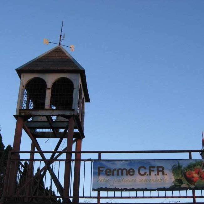 Ferme CFR | 77 Rue Lachapelle E, Saint-Rémi, QC J0L 2L0, Canada | Phone: (514) 705-2263