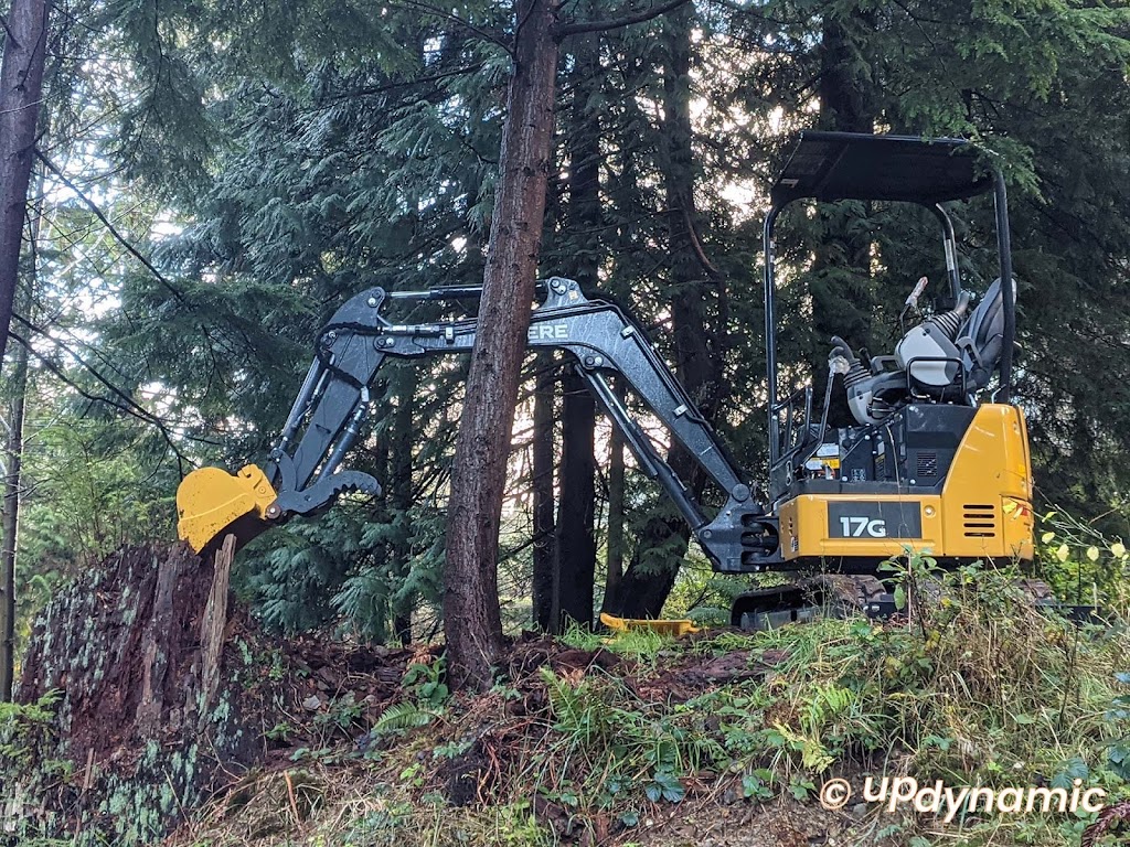 UpDynamic | 1049 Grafton Rd, Bowen Island, BC V0N 1G2, Canada | Phone: (604) 366-9386