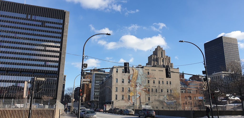 Centre Communautaire Radisson | 1101 Rue Saint-Dominique, Montréal, QC H2X 3V6, Canada | Phone: (514) 252-1671