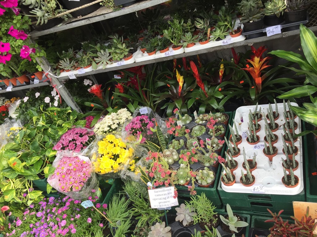 Maple Garden | 673 Gerrard St E, Toronto, ON M4M 1Y2, Canada | Phone: (416) 466-9811