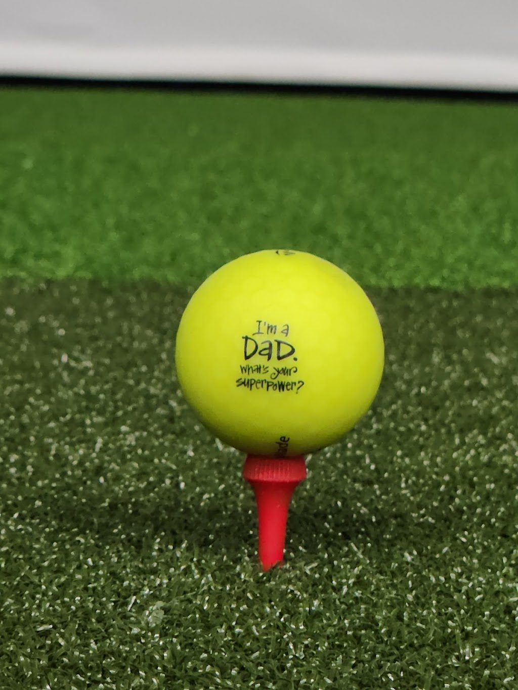 The Mad Hitter Indoor Golf Lounge | 300 Market Dr, Milton, ON L9T 5A4, Canada | Phone: (289) 298-2977