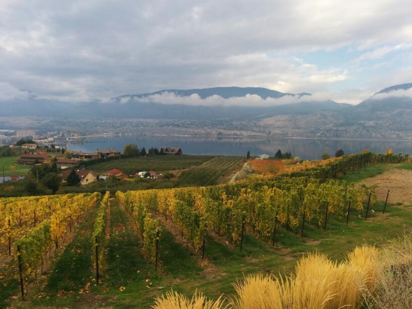 Poplar Grove Winery | 425 Middle Bench Rd N, Penticton, BC V2A 8S5, Canada | Phone: (250) 493-9463