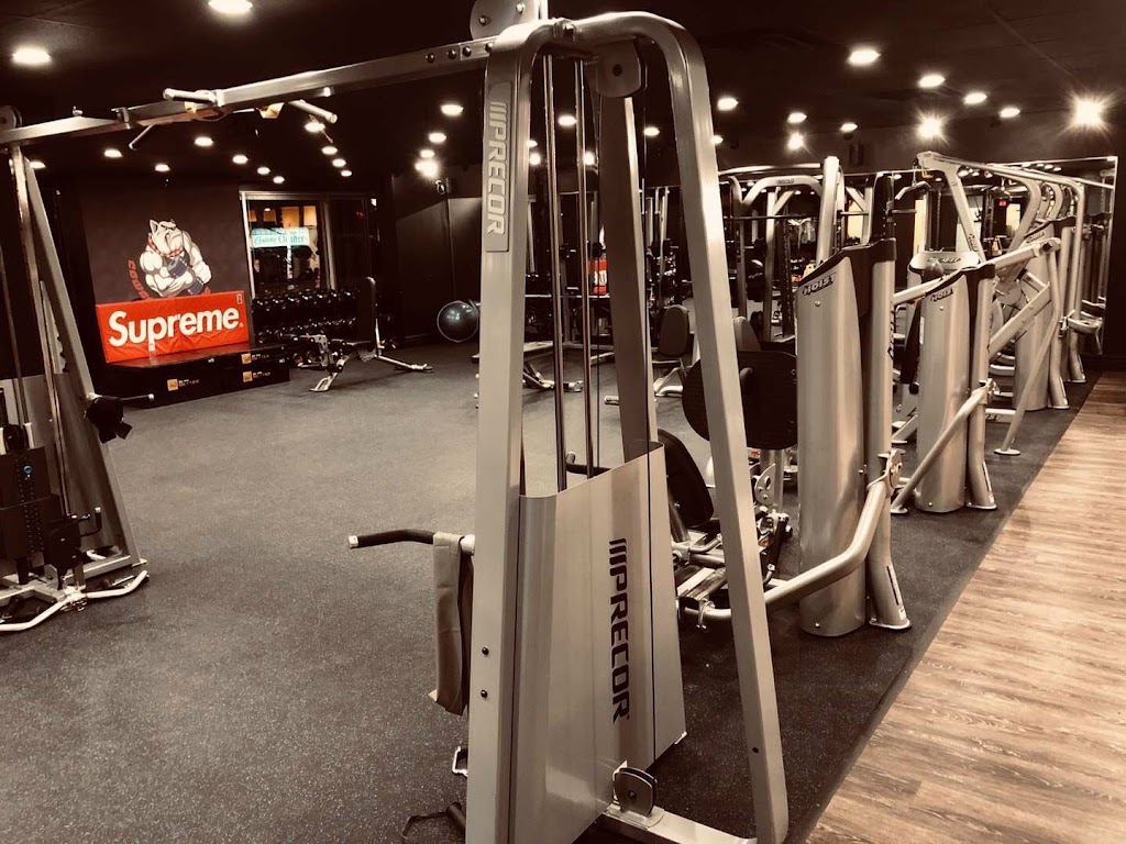Cowboy Fitness North York | 309 Sheppard Ave E, North York, ON M2N 3B3, Canada | Phone: (647) 975-3567