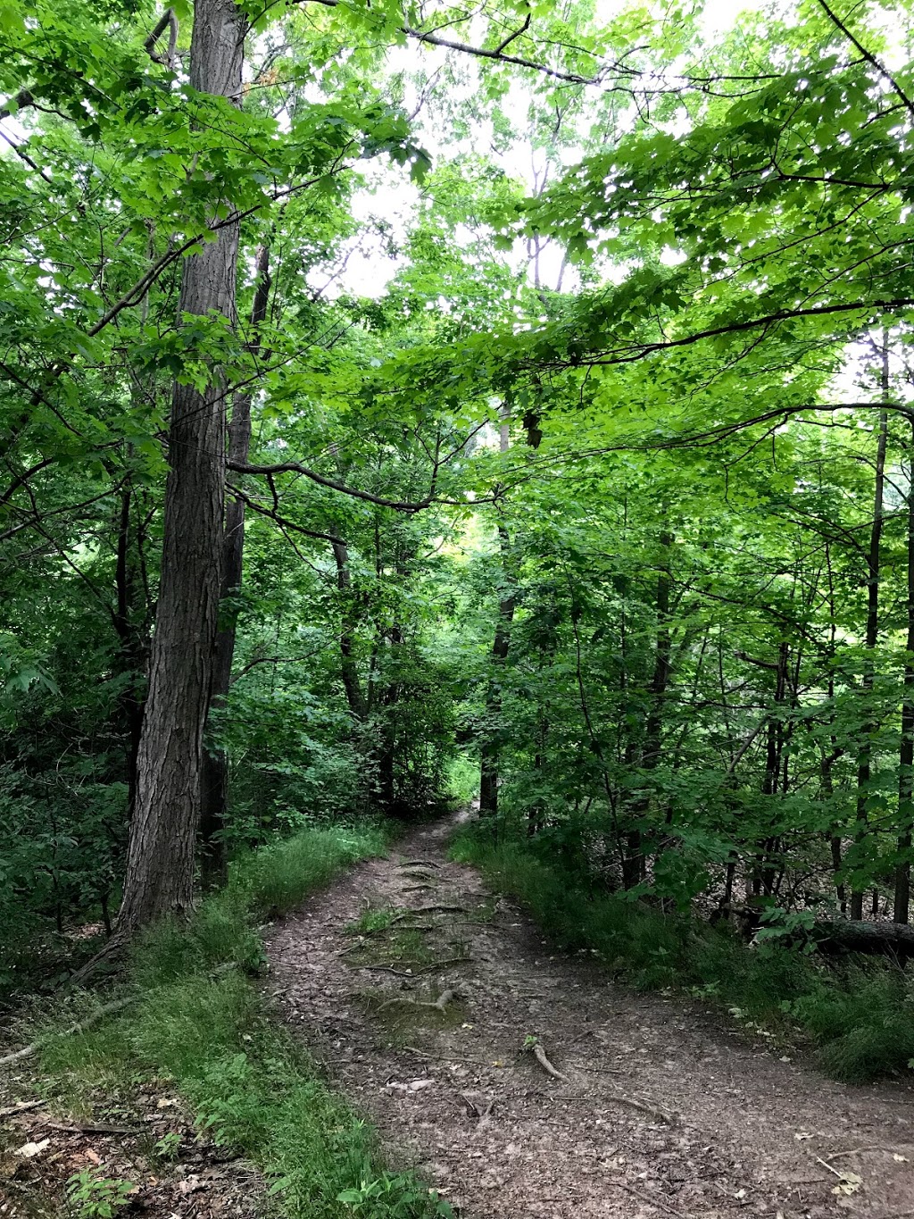 Mitches Park | Upper Queen St, London, ON N6C, Canada
