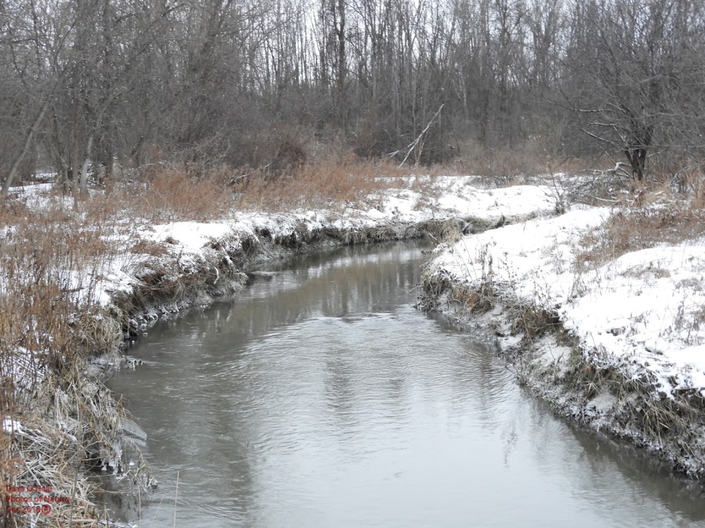 Greenbelt Trail 10 | Carling Ave, Ottawa, ON K2H 8B2, Canada