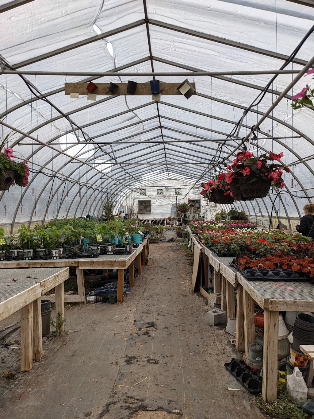 Town & Country Garden Centre | R.R. #3 217729, Concession Rd 3, Owen Sound, ON N4K 5N5, Canada | Phone: (519) 376-1112