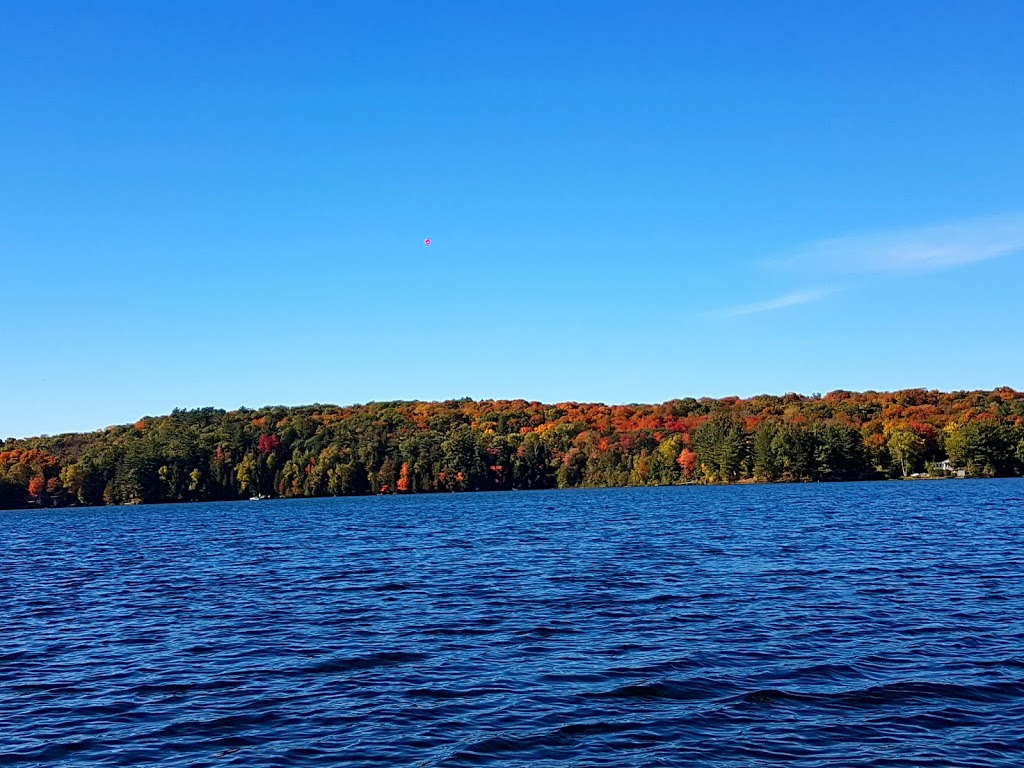 Muskoka Rain | 3425 Muskoka District Road 117, Baysville, ON P0B 1A0, Canada | Phone: (705) 645-3955