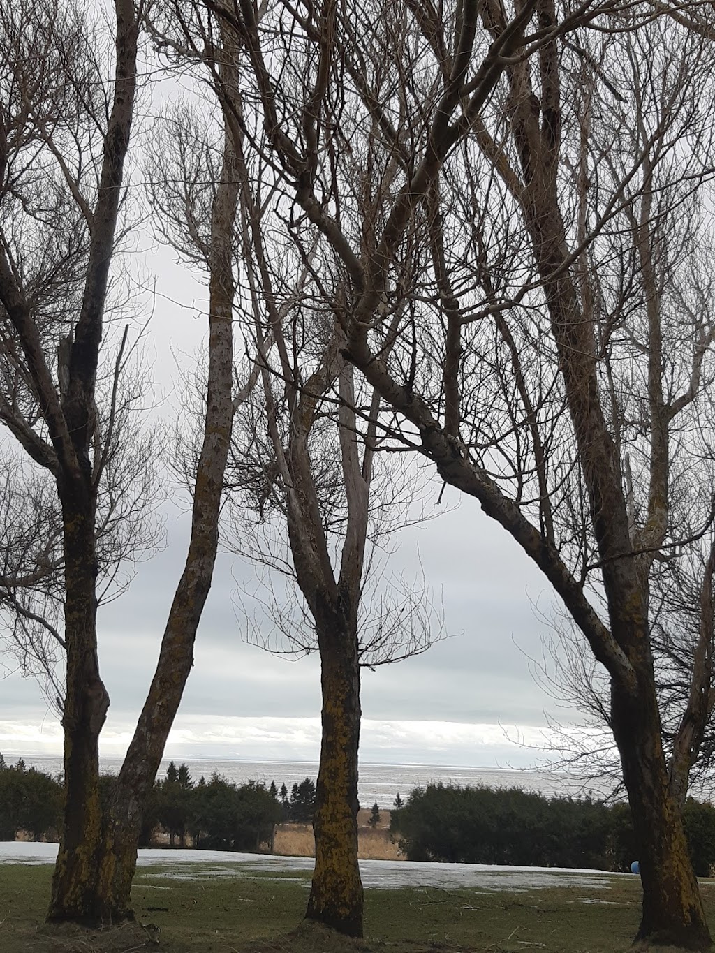 Island Pride Garden Co. Wood Islands | 854 TCH, PE-1, Wood Islands, PE C0A 1R0, Canada | Phone: (902) 962-2044