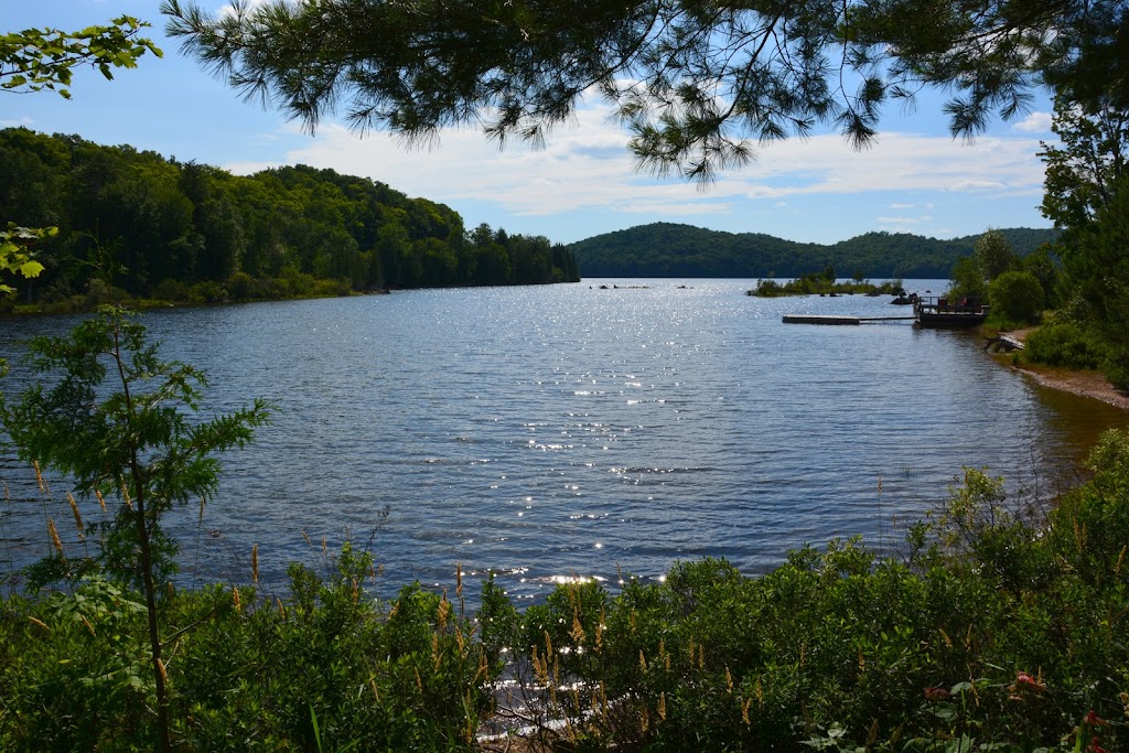 Haliburton County Farmers Market | 2 Park St, Haliburton, ON K0M 1S0, Canada | Phone: (705) 306-0523