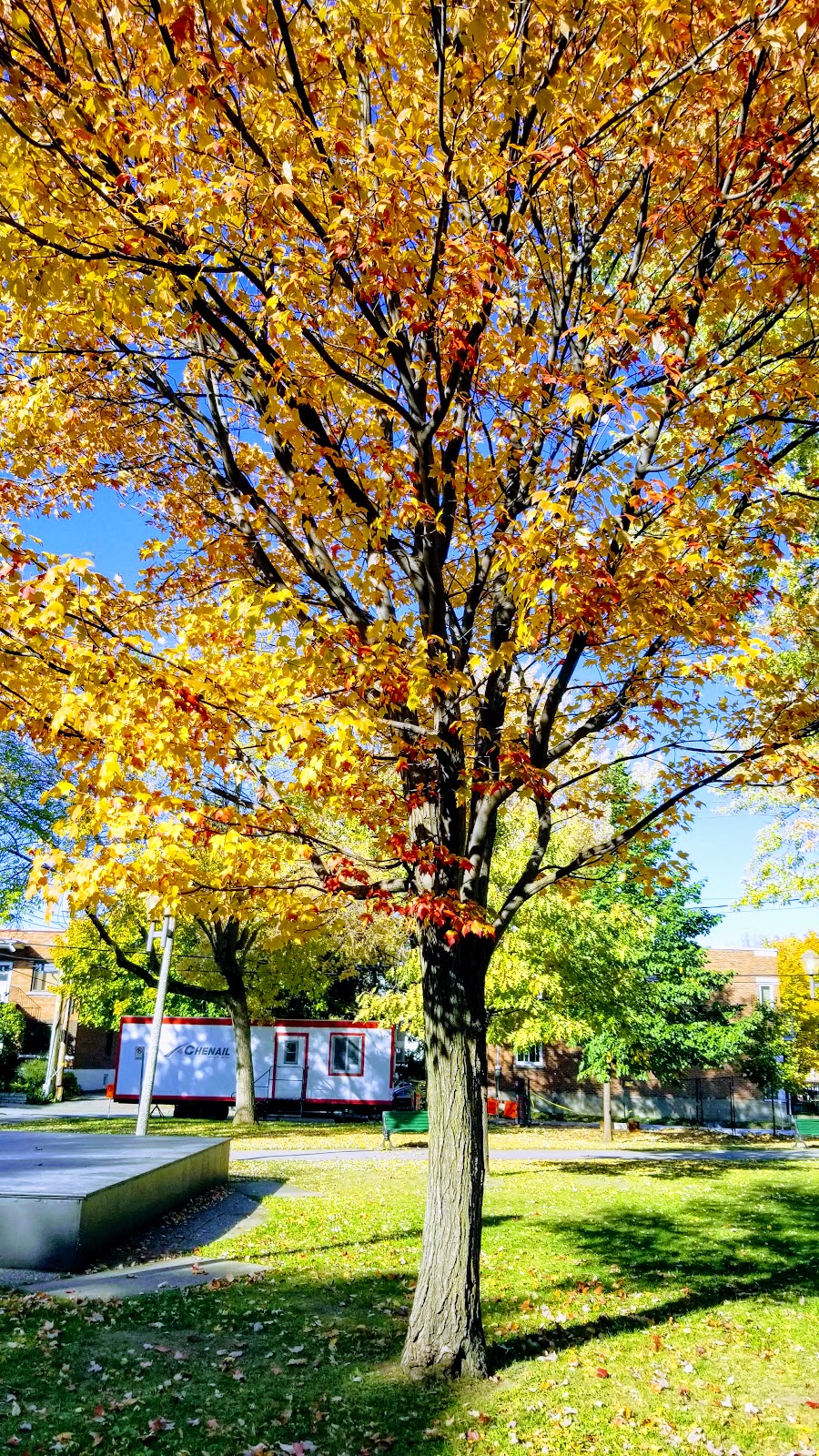 Wilson Park | 1075 Av. Brown, Verdun, QC H4H 1H6, Canada | Phone: (514) 946-7128