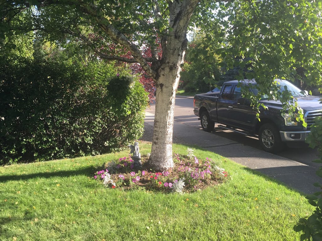 Willow Creek Family Connections | 4119 15a St SW, Calgary, AB T2T 4E1, Canada | Phone: (403) 454-5388