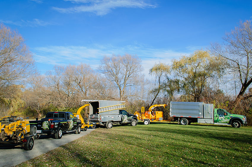 Services DArbres Hugo Enr | 1290 Chem. Pincourt, Mascouche, QC J7L 2X9, Canada | Phone: (450) 474-2727