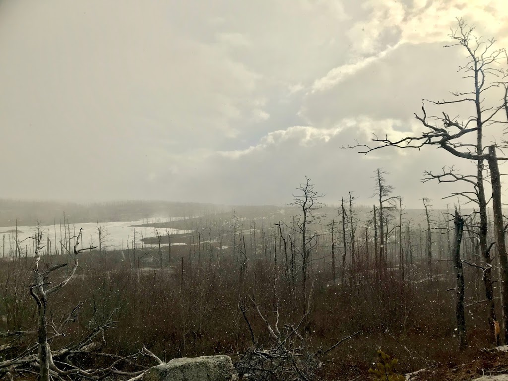 Fight Trails | Alabaster Way, Halifax, NS B3R 1X6, Canada