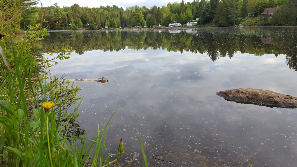 camping domaine du lac cedriere | 40 QC-315, Montpellier, QC J0V 1M0, Canada | Phone: (613) 297-7278
